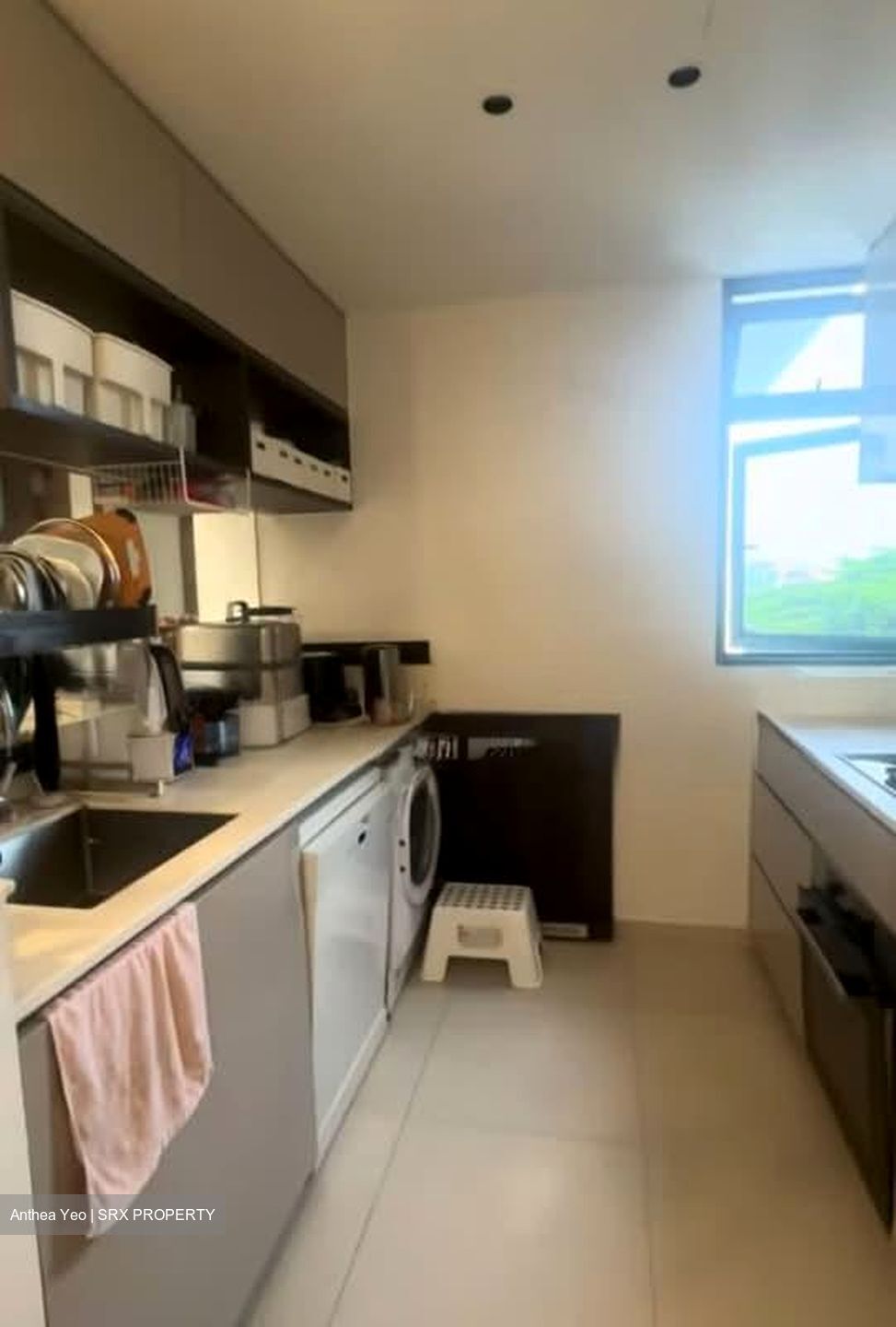 Fourth Avenue Residences (D10), Apartment #559812321